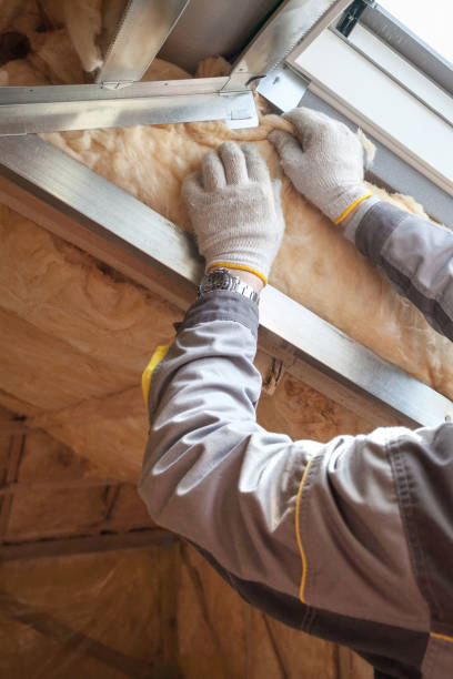 Types of Insulation We Offer in Temelec, CA