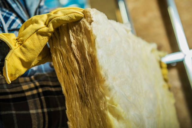 Best Eco-Friendly Insulation in Temelec, CA