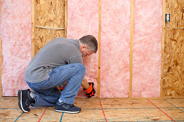 Types of Insulation We Offer in Temelec, CA