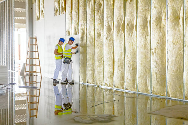 Best Geographic-Specific Insulation Services in Temelec, CA